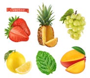 Fruit frais, icônes du vecteur 3d réglées Illustration réaliste illustration de vecteur Fruit frais, icônes du vecteur 3d réglées Illustration réaliste illustration de vecteur