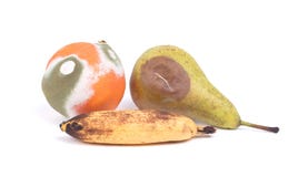 Fruit geïsoleerd rotten stock foto Fruit geïsoleerd rotten stock foto