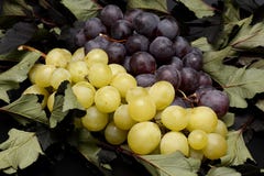 Fruit, Grapevine Family, Grape, Produce Fruit, Grapevine Family, Grape, Produce