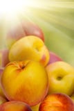 Fruit Hybrid Peach Apricot Nectarine Royalty Free Stock Image