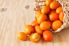 Fruit Jocote (Mombin rouge, Mombin pourpre, prune de porc, Ciruela Huesi Photographie stock libre de droits Fruit Jocote (Mombin rouge, Mombin pourpre, prune de porc, Ciruela Huesi Photographie stock libre de droits