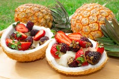Fruit salad, berries, strawberries, blackberries, ananas in coconut. On the green grass. royalty free stock photography Fruit salad, berries, strawberries, blackberries, ananas in coconut. On the green grass. royalty free stock photography