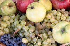 Fruits Royalty Free Stock Photo