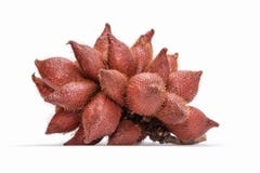 Fruits asiatiques tropicaux de Zalacca ou de Salacca ou de Salak Images stock Fruits asiatiques tropicaux de Zalacca ou de Salacca ou de Salak Images stock