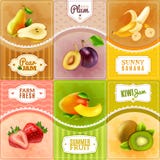 Fruits Berries Flat Icons Composition Poster vector illustration Fruits Berries Flat Icons Composition Poster vector illustration