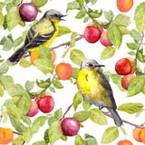 Fruits, birds - garden with plum, cherry, apples. Seamless pattern. Watercolor royalty free illustration Fruits, birds - garden with plum, cherry, apples. Seamless pattern. Watercolor royalty free illustration
