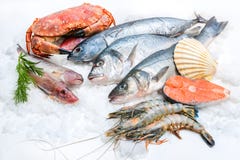 Fruits de mer sur la glace Fruits de mer sur la glace