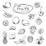 Fruits et baies, croquis illustration de vecteur Fruits et baies, croquis illustration de vecteur