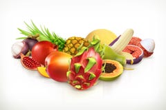 Fruits et baies juteux illustration libre de droits Fruits et baies juteux illustration libre de droits