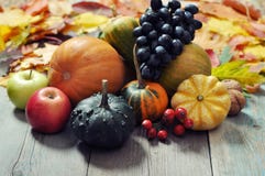 Fruits et légumes d'automne photo stock Fruits et légumes d'automne photo stock
