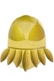 Fruta madura aislada del kivi en blanco ilustración del vector Fruta madura aislada del kivi en blanco ilustración del vector