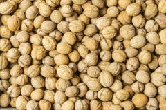Fruto das nozes no close up do fundo do escudo Lotes das porcas Imagem conservada em estoque imagem de stock Fruto das nozes no close up do fundo do escudo Lotes das porcas Imagem conservada em estoque imagem de stock