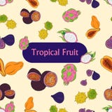 frutos tropicais coloridos, patern sem emenda ilustração royalty free frutos tropicais coloridos, patern sem emenda ilustração royalty free