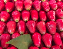 Frutta fresca della melarosa nel fondo del mercato, Tailandia fotografia stock libera da diritti Frutta fresca della melarosa nel fondo del mercato, Tailandia fotografia stock libera da diritti