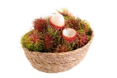 frutta tropicale del rambutan fresco isolata su un fondo bianco immagini stock frutta tropicale del rambutan fresco isolata su un fondo bianco immagini stock