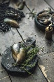 Frutti di mare Ostriche fresche, cozze sui bordi di legno fotografia stock libera da diritti Frutti di mare Ostriche fresche, cozze sui bordi di legno fotografia stock libera da diritti