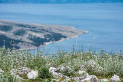 Frühling blüht über dem Türkisblaumeer in der Bucht stockbild Frühling blüht über dem Türkisblaumeer in der Bucht stockbild
