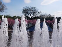 Frühling in der Stadt stockfotos Frühling in der Stadt stockfotos