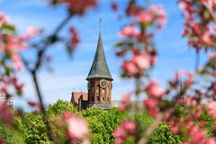 Frühling in Kaliningrad Stockfotografie Frühling in Kaliningrad Stockfotografie