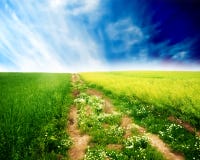 Frühlingslandschaft lizenzfreie stockbilder Frühlingslandschaft lizenzfreie stockbilder
