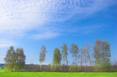 Frühlingslandschaft stockbilder Frühlingslandschaft stockbilder