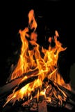 Fuego Fuego