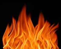 Fuego Fuego