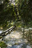 Fugas de caminhada nas montanhas de Cáucaso Trajetos na montanha Rússia cáucaso fotos de stock Fugas de caminhada nas montanhas de Cáucaso Trajetos na montanha Rússia cáucaso fotos de stock