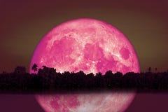 Full Beaver Moon Back On Silhouette Tree And Reflection On River And Night Sky Stock Photo