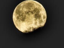 Full moon. A moon phase royalty free stock image Full moon. A moon phase royalty free stock image