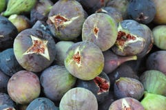 Fully Ripe Figs Royalty Free Stock Images Fully Ripe Figs Royalty Free Stock Images
