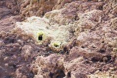 Fumerolles à l'intérieur d'un cratère de volcan images stock Fumerolles à l'intérieur d'un cratère de volcan images stock