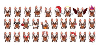 Fumetto australiano di Terrier serico del cane Grande insieme di piccoli cani differenti royalty illustrazione gratis Fumetto australiano di Terrier serico del cane Grande insieme di piccoli cani differenti royalty illustrazione gratis
