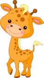 Fun zoo. Giraffe