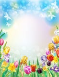 Fundo com as flores multicoloridos da mola ilustração stock Fundo com as flores multicoloridos da mola ilustração stock