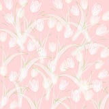 Fundo cor-de-rosa opaco dos Tulips da mola ilustração stock Fundo cor-de-rosa opaco dos Tulips da mola ilustração stock
