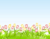 Fundo da beira da flor dos Tulips da mola ilustração do vetor Fundo da beira da flor dos Tulips da mola ilustração do vetor