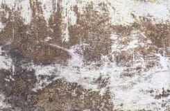 Fundo da parede do concreto ou do cimento do Grunge imagem de stock royalty free Fundo da parede do concreto ou do cimento do Grunge imagem de stock royalty free