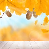 Fundo da queda com Autumn Yellow Oak Leaves foto de stock Fundo da queda com Autumn Yellow Oak Leaves foto de stock