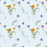 Fundo das flores selvagens ilustração royalty free Fundo das flores selvagens ilustração royalty free