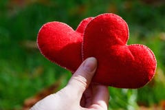 Fundo do dia de Valentim Coração dois nas folhas Conceito do amor fotos de stock Fundo do dia de Valentim Coração dois nas folhas Conceito do amor fotos de stock