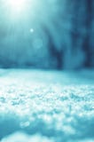 Fundo ensolarado do Natal do inverno com monte de neve em um primeiro plano e paisagem borrada da floresta em um fundo imagens de stock royalty free Fundo ensolarado do Natal do inverno com monte de neve em um primeiro plano e paisagem borrada da floresta em um fundo imagens de stock royalty free