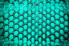 Fundo real da pele de serpente, tiro macro fotos de stock royalty free Fundo real da pele de serpente, tiro macro fotos de stock royalty free