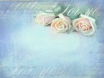Fundo retro romântico do grunge com rosas Rosas doces no estilo da cor do vintage com espaço livre para o texto Fotos de Stock Fundo retro romântico do grunge com rosas Rosas doces no estilo da cor do vintage com espaço livre para o texto Fotos de Stock