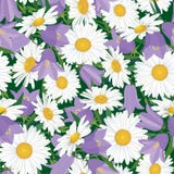 Fundo sem emenda com flor do prado ilustração royalty free Fundo sem emenda com flor do prado ilustração royalty free