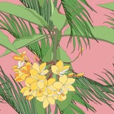 Fundo sem emenda do teste padrão do verão floral tropical com as flores do plumeria com folhas e palmas ilustração do vetor Fundo sem emenda do teste padrão do verão floral tropical com as flores do plumeria com folhas e palmas ilustração do vetor