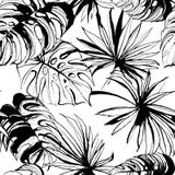 Fundo sem emenda floral do teste padrão da selva tropical com palma le ilustração royalty free Fundo sem emenda floral do teste padrão da selva tropical com palma le ilustração royalty free