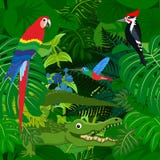 Fundo tropical da selva da floresta úmida do vetor sem emenda com animais das crianças ilustração do vetor Fundo tropical da selva da floresta úmida do vetor sem emenda com animais das crianças ilustração do vetor