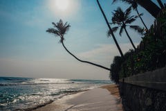 Fundo tropical do feriado das férias - praia idílico do paraíso Sri Lanka fotos de stock Fundo tropical do feriado das férias - praia idílico do paraíso Sri Lanka fotos de stock