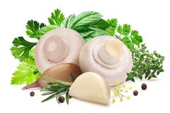 Funghi per la marinatura, erbe, aglio, percorsi immagine stock Funghi per la marinatura, erbe, aglio, percorsi immagine stock